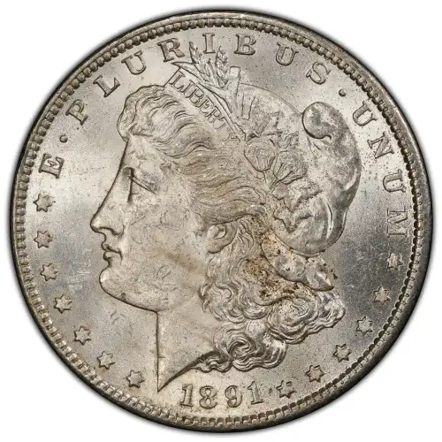 1891-S $1 (3)