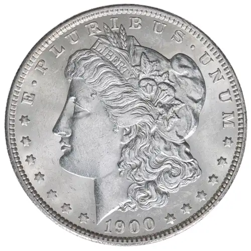 1900 Morgan Silver Dollar