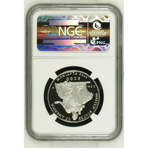 2004 W  ULTRA CAMEO (3)