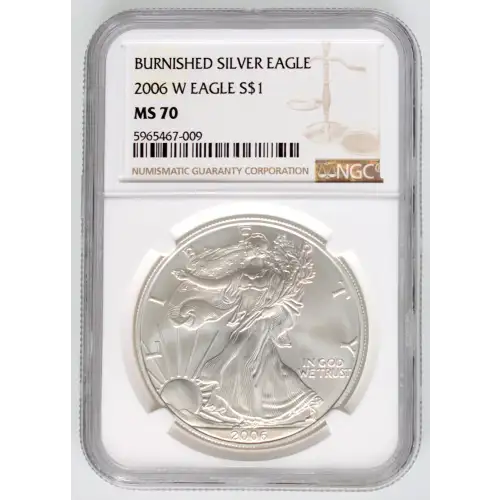 2006 W BURNISHED SILVER EAGLE (3)