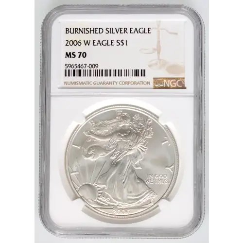 2006 W BURNISHED SILVER EAGLE (3)
