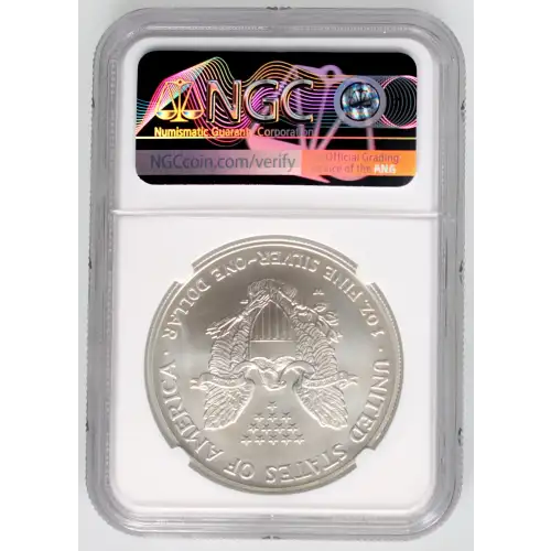 2006 W BURNISHED SILVER EAGLE (4)