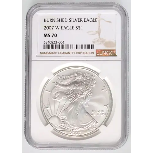 2007 W BURNISHED SILVER EAGLE (3)
