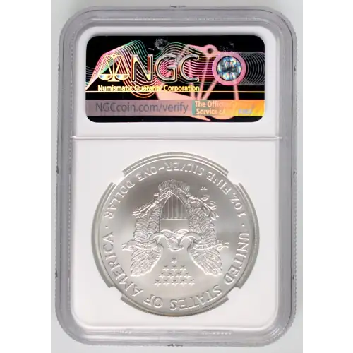 2007 W BURNISHED SILVER EAGLE (4)