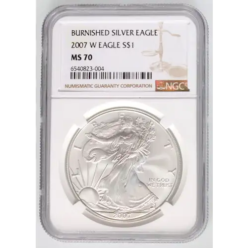 2007 W BURNISHED SILVER EAGLE (3)