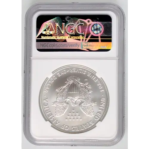 2007 W BURNISHED SILVER EAGLE (4)