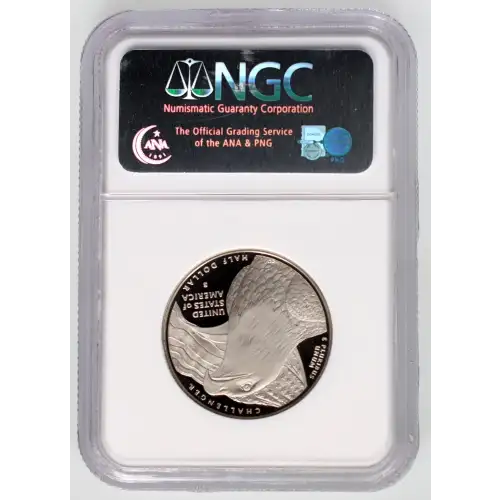 2008 BALD EAGLE ULTRA CAMEO (2)