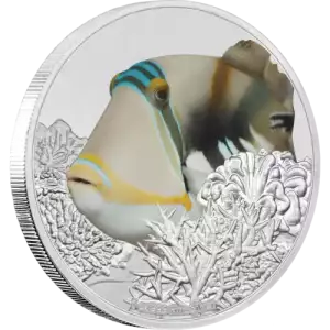 2018 Niue Reef Fish Triggerfish 1oz Silver Proof Coin (3)