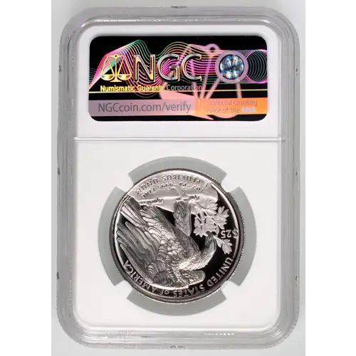 2018 W High Relief Early Releases ULTRA CAMEO (4)