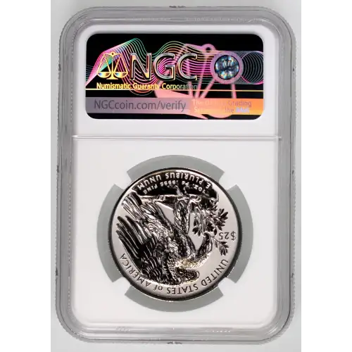 2019 W High Relief Early Releases (4)