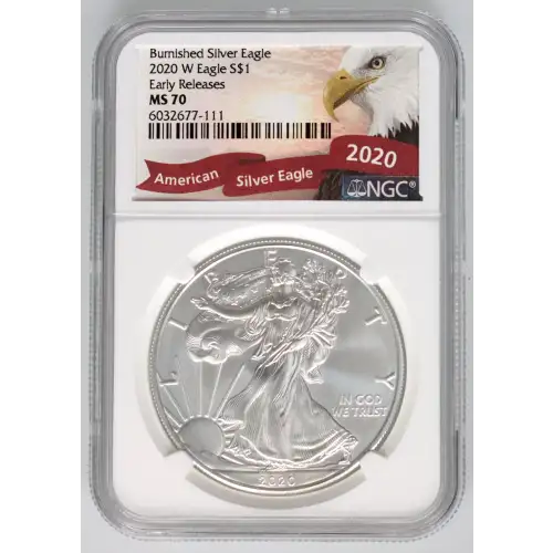 2020 W Burnished Silver Eagle Early Releases (4)