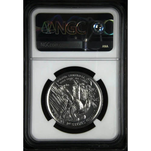 2020 W High Relief Early Releases Burnished Palladium Eagle (3)