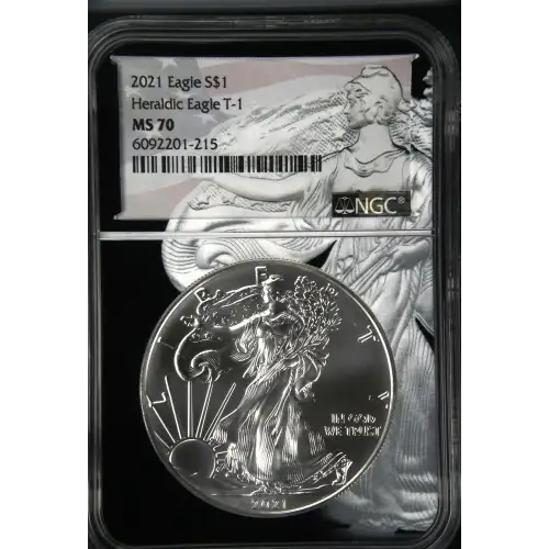 2021 Heraldic Eagle T-1 (2)