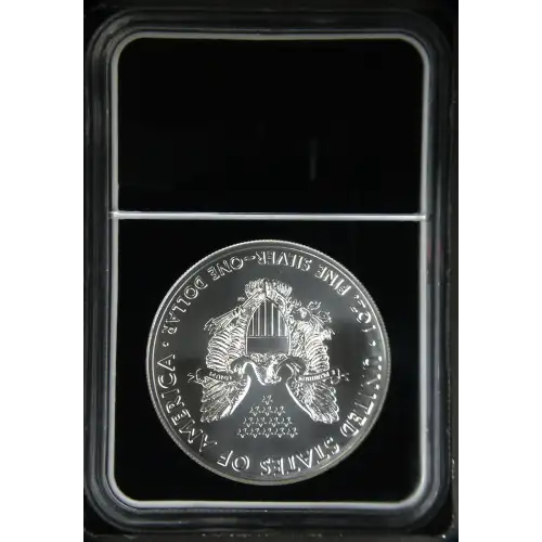 2021 Heraldic Eagle T-1 (3)