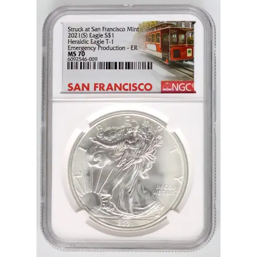 2021(S) Heraldic Eagle T-1 Emergency Production-ER Struck at San Francisco (3)