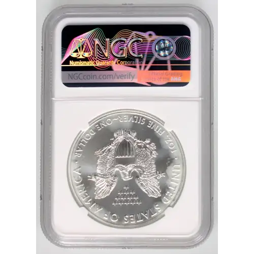 2021(S) Heraldic Eagle T-1 Emergency Production-ER Struck at San Francisco (4)