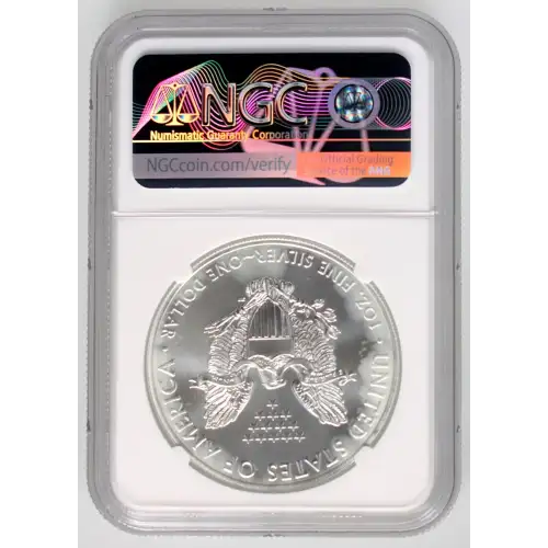 2021(S) Heraldic Eagle T-1 Emergency Production-ER Struck at San Francisco (4)