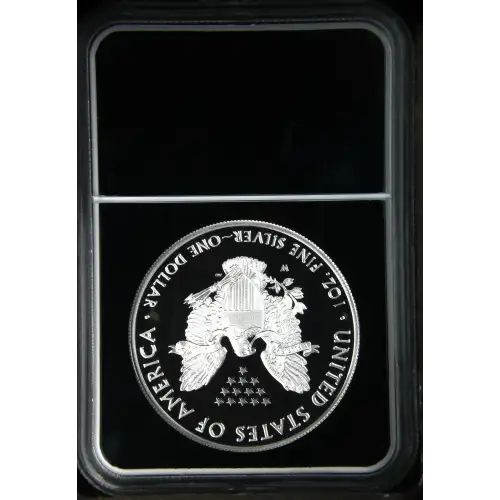 2021 W Heraldic Eagle T-1 ULTRA CAMEO (3)