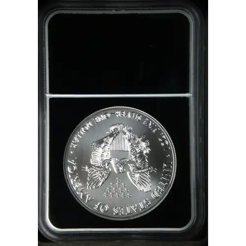 2021(P) Heraldic Eagle T-1 Struck at Philadelphia (3)
