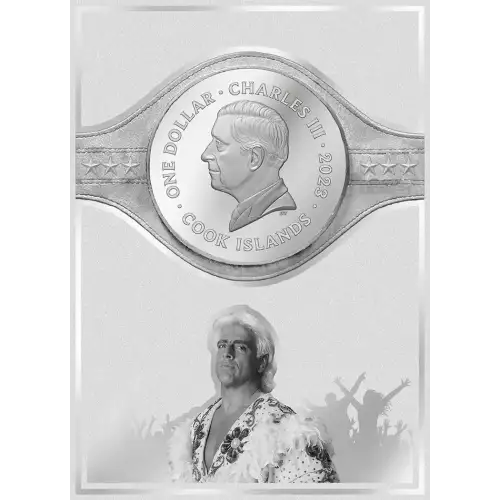 2023 Cook Islands Ric Flair 3g .999 Silver “Pink Colorway” Trading Coin Card NGCx10 [DUPLICATE for #549250] (2)