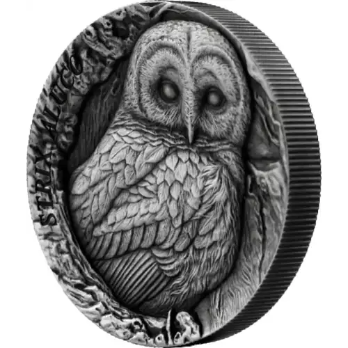 2023 Samoa Tawny Owl Tree Hollow 1 oz Silver Coin