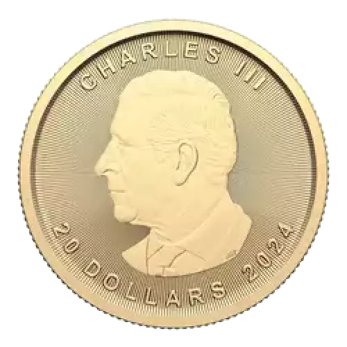 2024 1/2 oz Canadian Gold Maple Leaf
