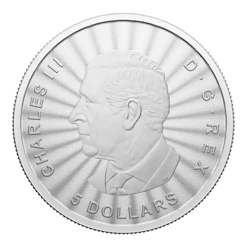 2024 Canada The Majestic Polar Bears 1 oz Silver Coin (3)