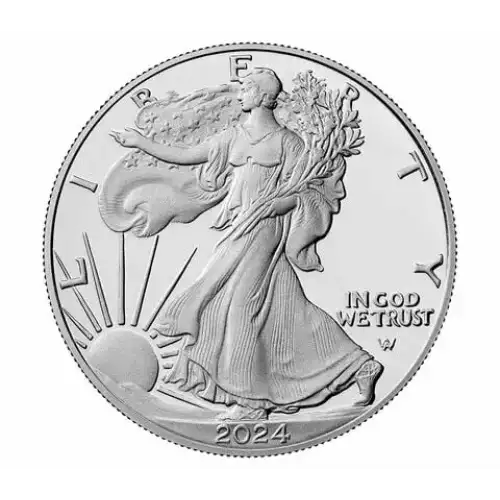2024-W 1oz American Silver Eagle Proof Coin (4)