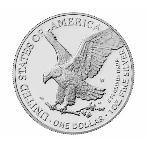 2024-W 1oz American Silver Eagle Proof Coin (3)