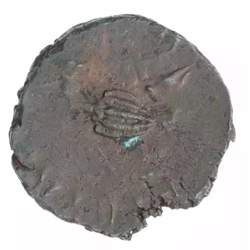 Ancient Coin (2)