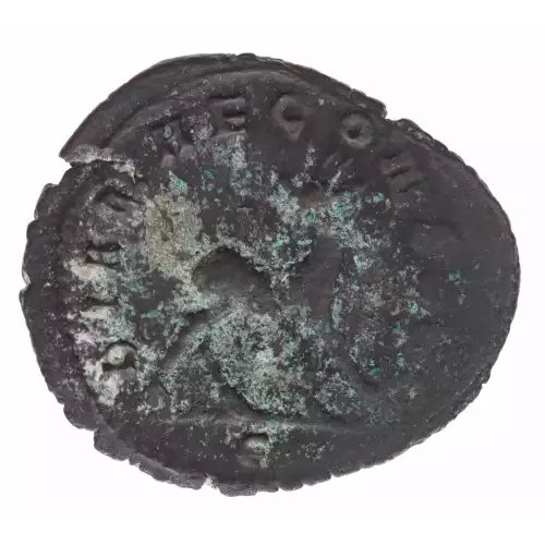 Ancient Coin (2)