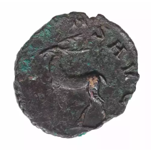 Ancient Coin