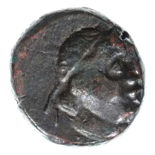 Ancient Coins