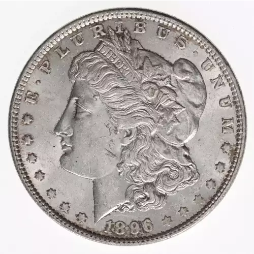 Morgan Silver Dollar