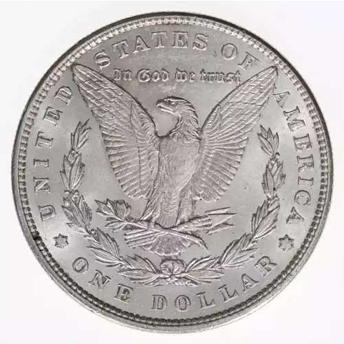 Morgan Silver Dollar (2)