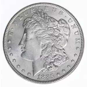 Morgan Silver Dollar