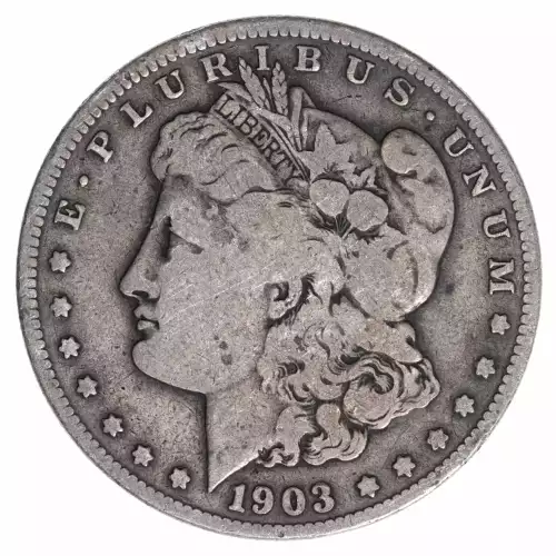 Morgan Silver Dollar