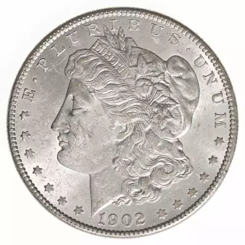 Morgan Silver Dollar