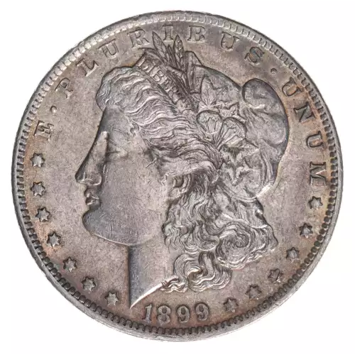 Morgan Silver Dollar