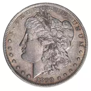 Morgan Silver Dollar