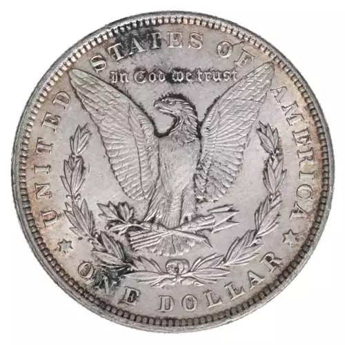 Morgan Silver Dollar (2)