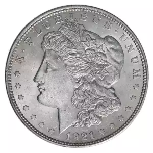 Morgan Silver Dollar (2)