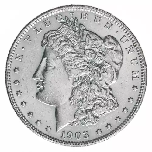 Morgan Silver Dollar