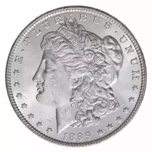 Morgan Silver Dollar