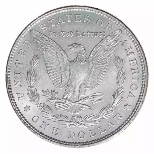 Morgan Silver Dollar (2)