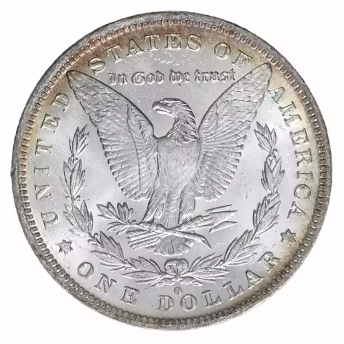 Morgan Silver Dollar (2)