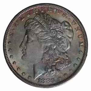 Morgan Silver Dollar