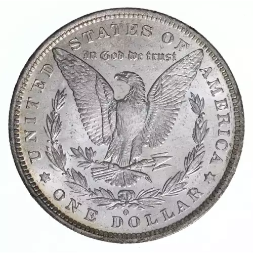 Morgan Silver Dollar (2)