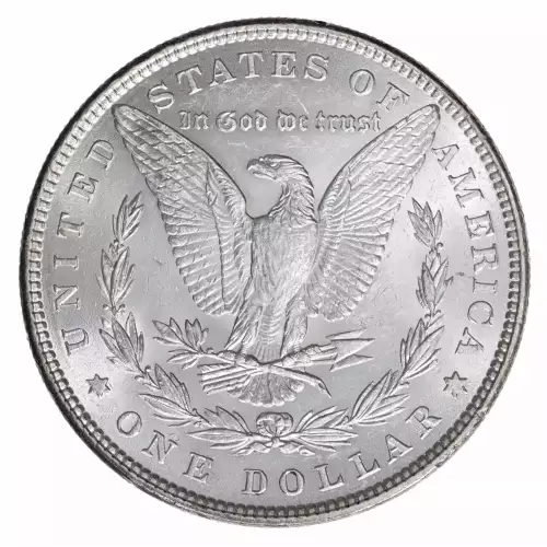 Morgan Silver Dollar (2)