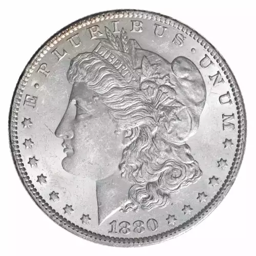 Morgan Silver Dollar (2)